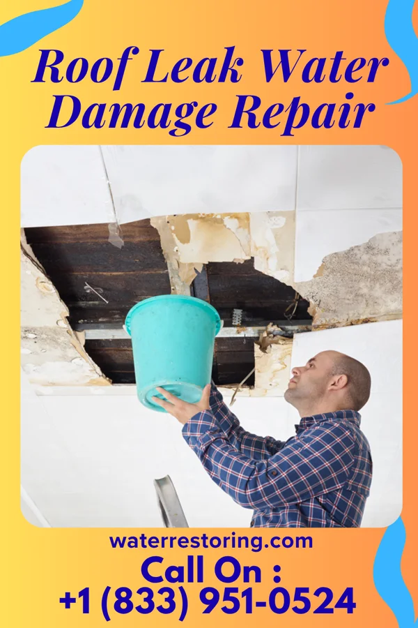 Roof Leak Water Damage Repair in Lake Andes, SD