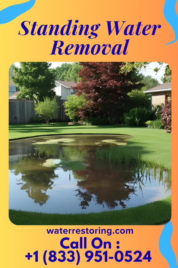 Standing Water Removal in Lake Andes, SD